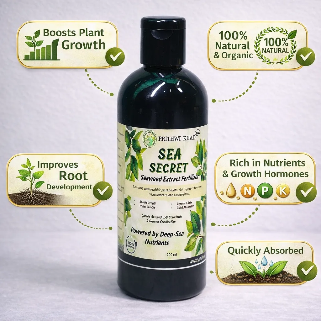 SEA SECRET/SEAWEED EXTRACT FERTILIZER - Image 2