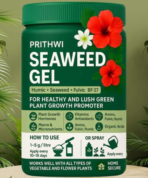 Seaweed Gel