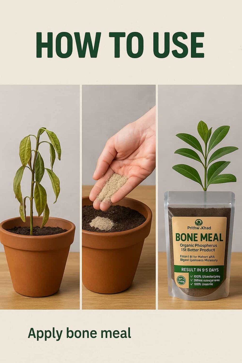 BONE MEAL - Image 2