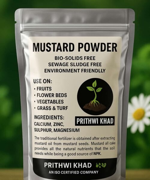 MUSTURD POWDER