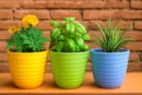 3-Piece Light Color Garden Pot Combo – 9 Inch, UV Resistant
