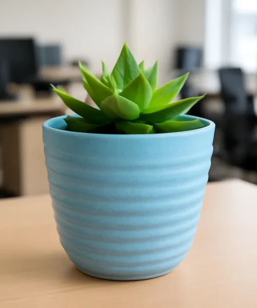 3-Piece Light Color Garden Pot Combo – 9 Inch, UV Resistant